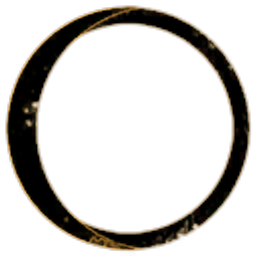 The Black Light Foundation Logo